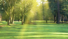 Giberson Partridge Funeral Home